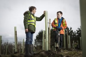 the-woodland-trust-is-holding-a-tree-planting-fortnight-from-4-15-march