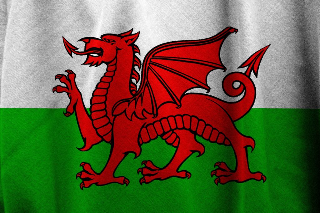New Waste Laws in Wales: Business Update 2024